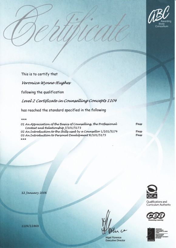Professional certificate 3