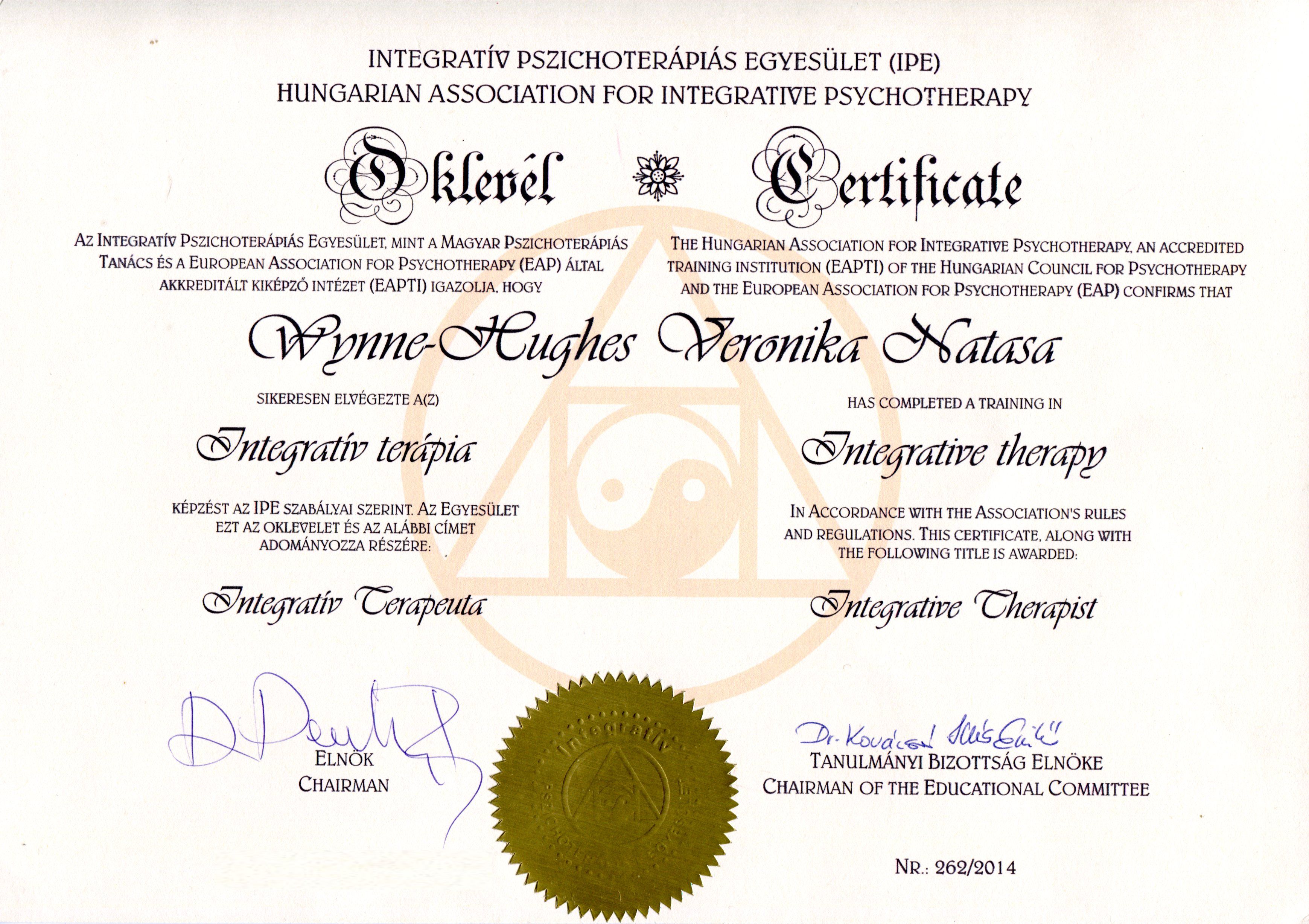 Professional diploma 1