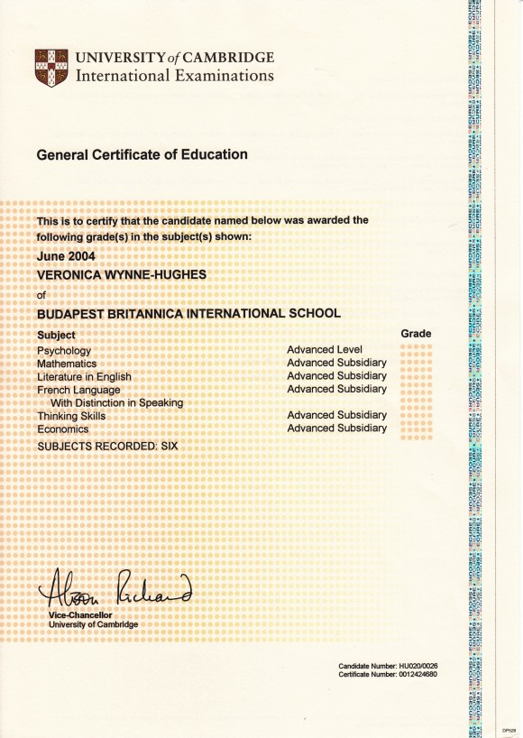Professional diploma 2
